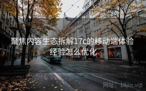 聚焦内容生态拆解17c的移动端体验 经验怎么优化
