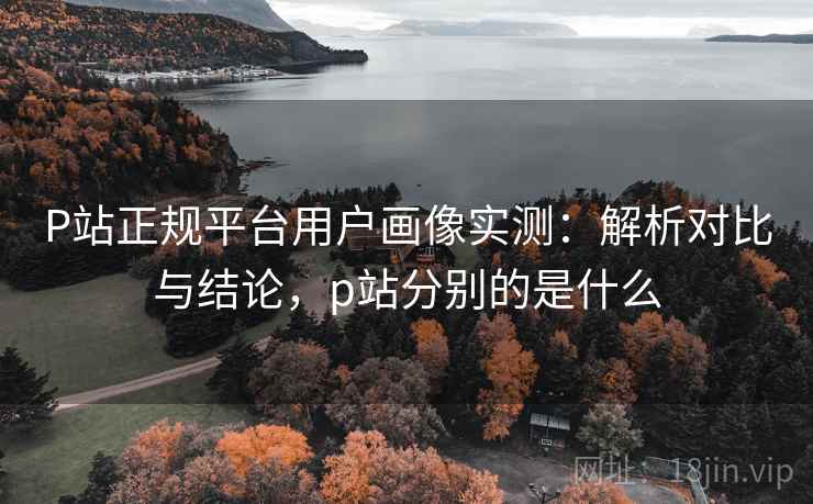 P站正规平台用户画像实测：解析对比与结论，p站分别的是什么