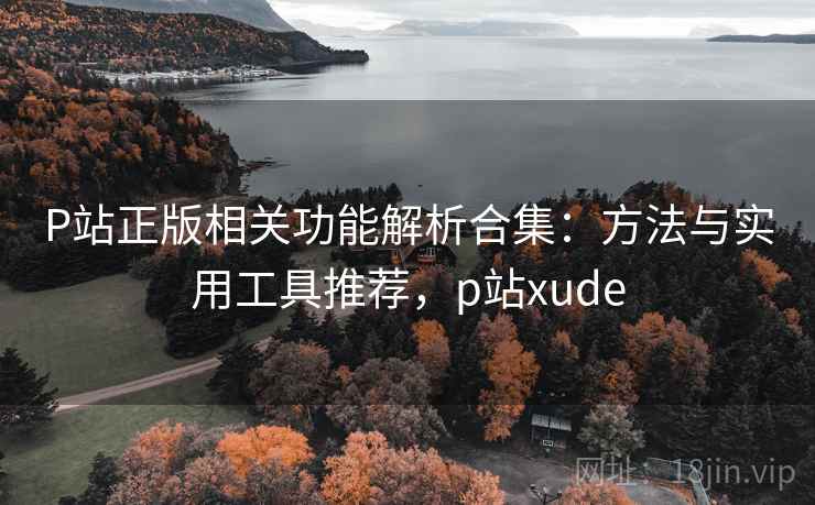 P站正版相关功能解析合集：方法与实用工具推荐，p站xude