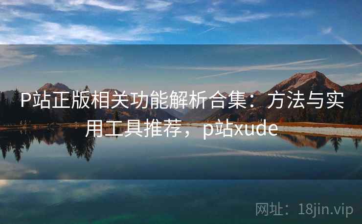 P站正版相关功能解析合集：方法与实用工具推荐，p站xude