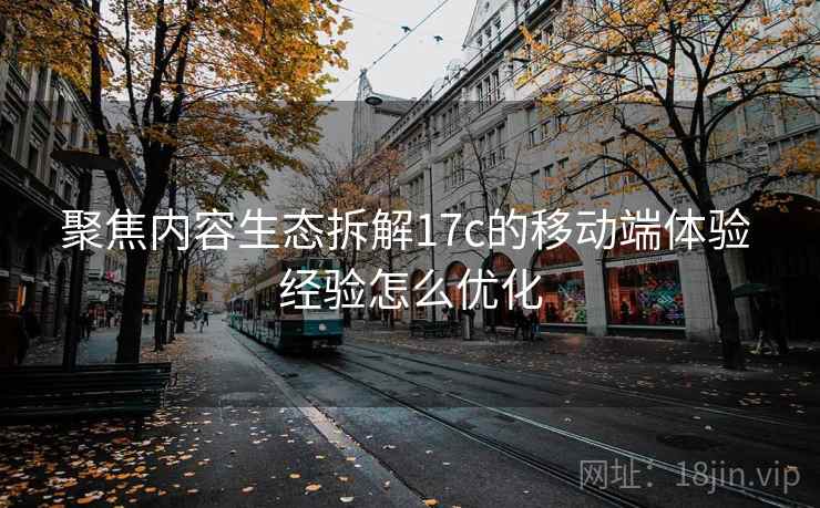 聚焦内容生态拆解17c的移动端体验 经验怎么优化