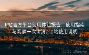 P站官方平台使用体验报告：使用指南与观察一次讲清，p站使用说明