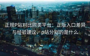 正规P站对比同类平台：正版入口差异与经验建议，p站分别的是什么