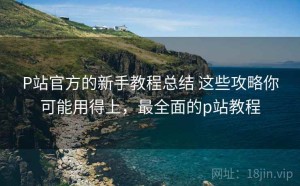 P站官方的新手教程总结 这些攻略你可能用得上，最全面的p站教程