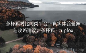 茶杯狐对比同类平台：真实体验差异与攻略建议，茶杯狐 - cupfox