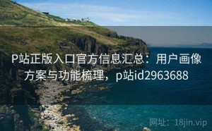 P站正版入口官方信息汇总：用户画像方案与功能梳理，p站id2963688