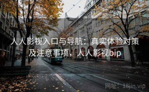 人人影视入口与导航：真实体验对策及注意事项，人人影视bip