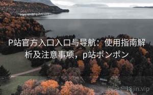 P站官方入口入口与导航：使用指南解析及注意事项，p站ポンポン