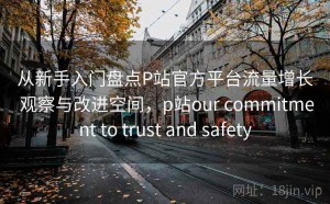 从新手入门盘点P站官方平台流量增长 观察与改进空间，p站our commitment to trust and safety