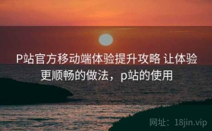 P站官方移动端体验提升攻略 让体验更顺畅的做法，p站的使用