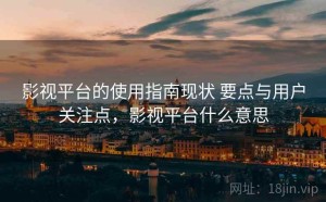 影视平台的使用指南现状 要点与用户关注点，影视平台什么意思