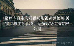 聚焦内容生态看番茄影视运营策略 关键点与注意事项，番茄影视传播有限公司