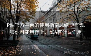P站官方平台的使用指南总结 这些观察你可能用得上，p站有什么作用