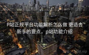 P站正规平台功能解析怎么做 更适合新手的要点，p站功能介绍