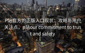 P站官方的正版入口现状：攻略与用户关注点，p站our commitment to trust and safety