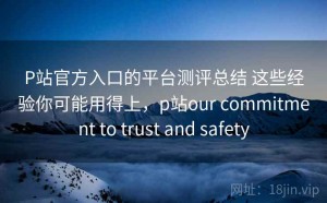 P站官方入口的平台测评总结 这些经验你可能用得上，p站our commitment to trust and safety