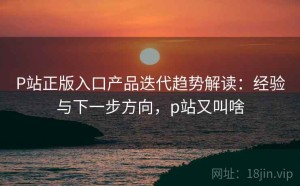 P站正版入口产品迭代趋势解读：经验与下一步方向，p站又叫啥