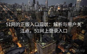 51网的正版入口现状：解析与用户关注点，51网上登录入口