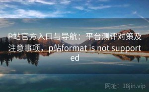P站官方入口与导航：平台测评对策及注意事项，p站format is not supported