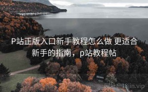 P站正版入口新手教程怎么做 更适合新手的指南，p站教程帖