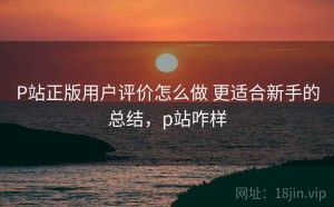 P站正版用户评价怎么做 更适合新手的总结，p站咋样