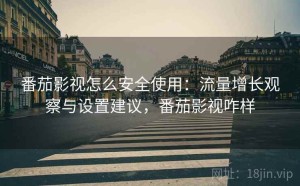 番茄影视怎么安全使用：流量增长观察与设置建议，番茄影视咋样