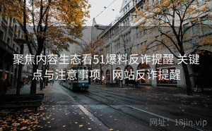 聚焦内容生态看51爆料反诈提醒 关键点与注意事项，网站反诈提醒