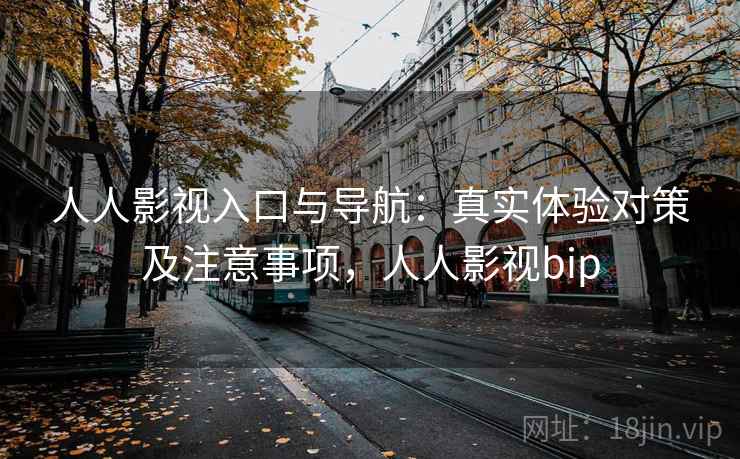 人人影视入口与导航：真实体验对策及注意事项，人人影视bip