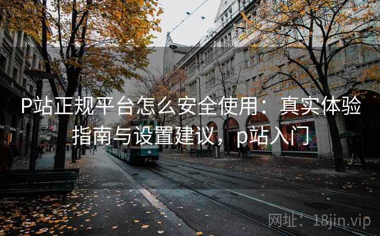 P站正规平台怎么安全使用：真实体验指南与设置建议，p站入门