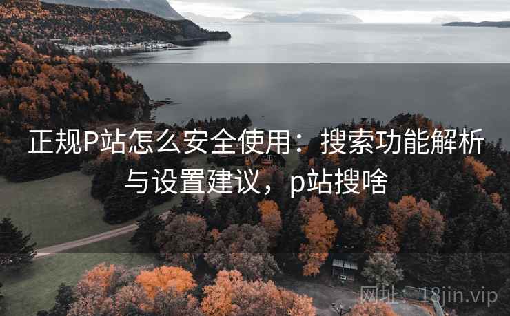 正规P站怎么安全使用：搜索功能解析与设置建议，p站搜啥