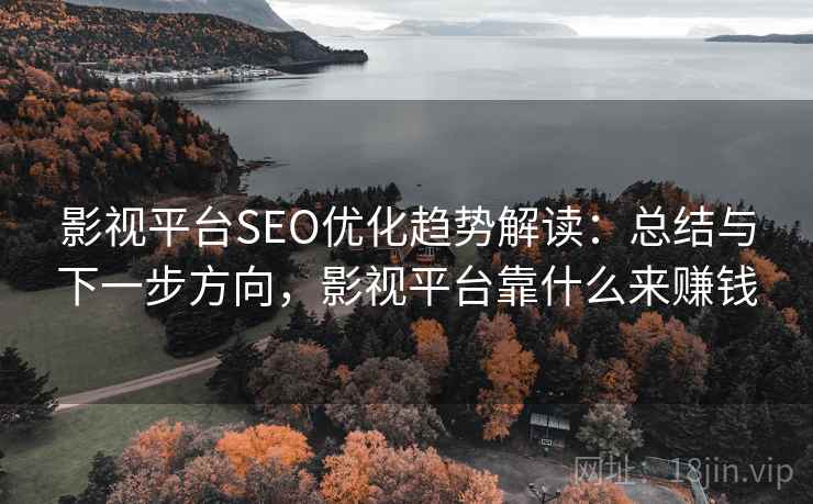 影视平台SEO优化趋势解读：总结与下一步方向，影视平台靠什么来赚钱