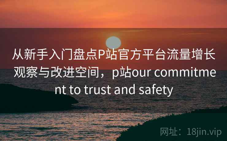 从新手入门盘点P站官方平台流量增长 观察与改进空间，p站our commitment to trust and safety
