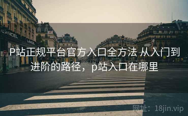 P站正规平台官方入口全方法 从入门到进阶的路径，p站入口在哪里
