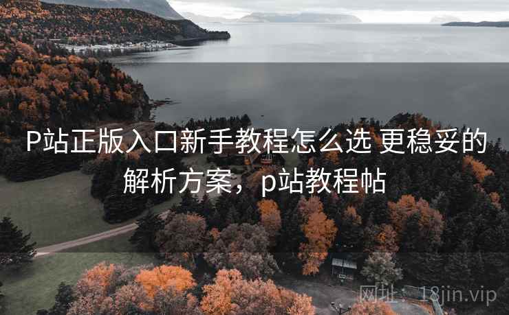 P站正版入口新手教程怎么选 更稳妥的解析方案，p站教程帖