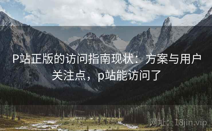 P站正版的访问指南现状：方案与用户关注点，p站能访问了