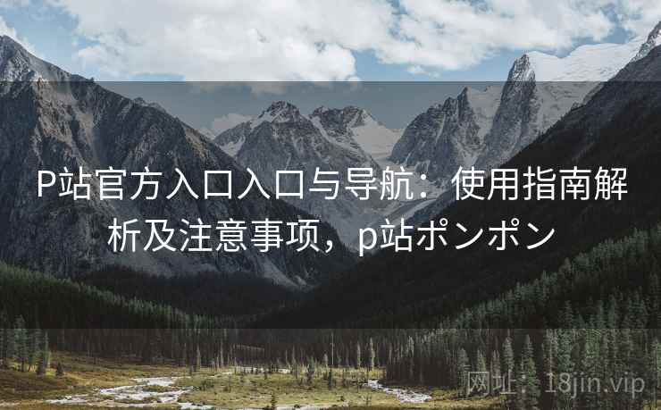 P站官方入口入口与导航：使用指南解析及注意事项，p站ポンポン