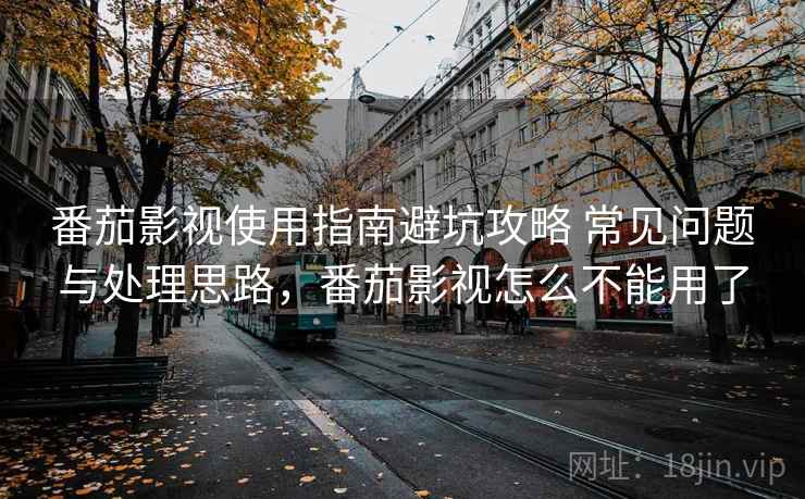 番茄影视使用指南避坑攻略 常见问题与处理思路，番茄影视怎么不能用了