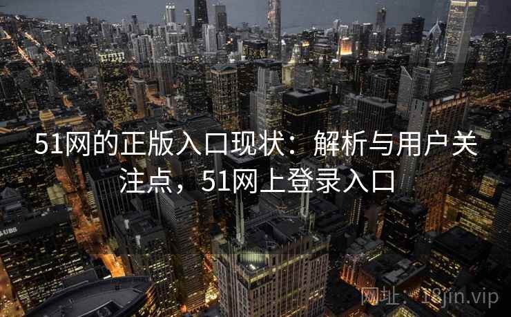 51网的正版入口现状：解析与用户关注点，51网上登录入口