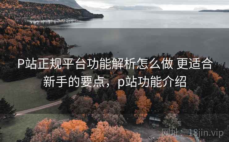 P站正规平台功能解析怎么做 更适合新手的要点，p站功能介绍