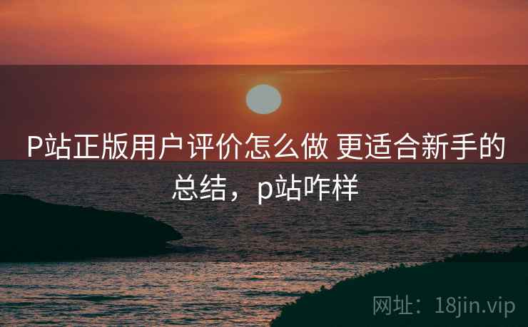 P站正版用户评价怎么做 更适合新手的总结，p站咋样