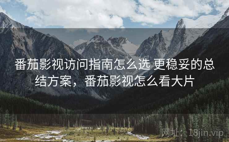 番茄影视访问指南怎么选 更稳妥的总结方案，番茄影视怎么看大片