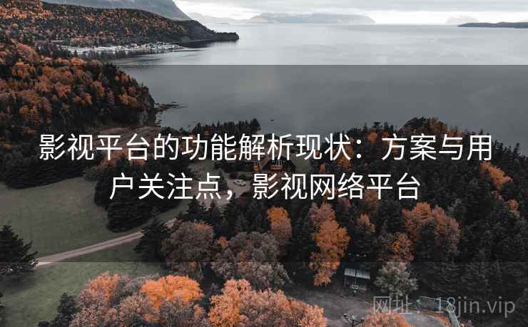 影视平台的功能解析现状：方案与用户关注点，影视网络平台