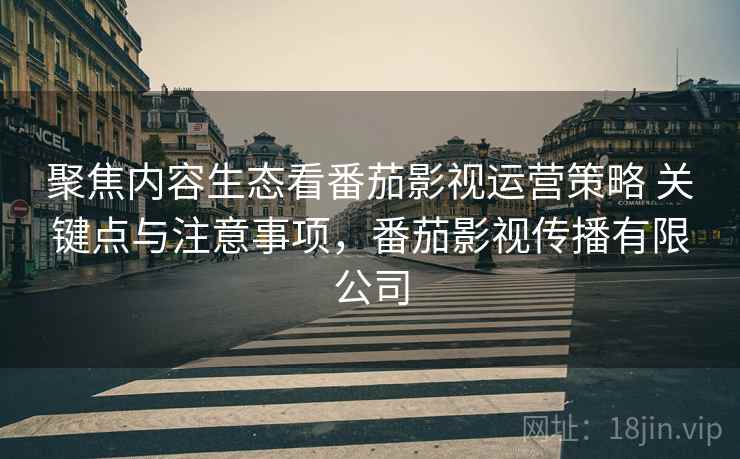 聚焦内容生态看番茄影视运营策略 关键点与注意事项，番茄影视传播有限公司