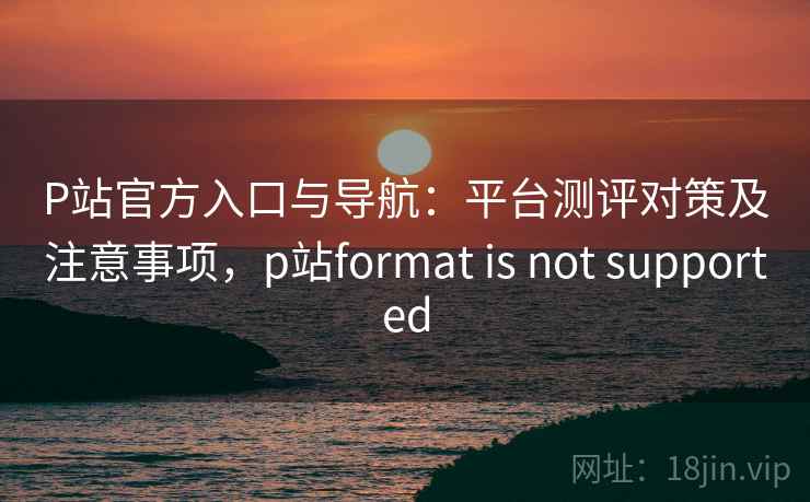 P站官方入口与导航：平台测评对策及注意事项，p站format is not supported